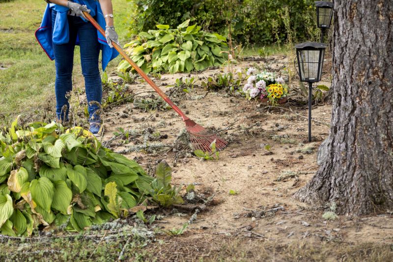 Customized Clearing Plans