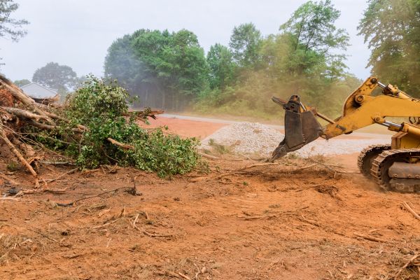 Ground Clearing in Bozeman
