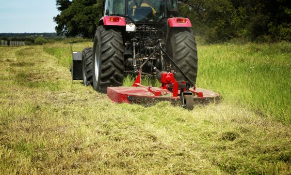 Brush Clearing Service in Bozeman