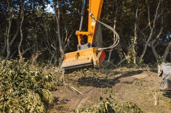 Brush Removal Service in Bozeman