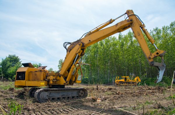 Farm Clearing in Bozeman