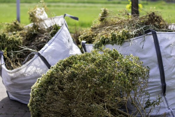 Bushes Clearing in Bozeman