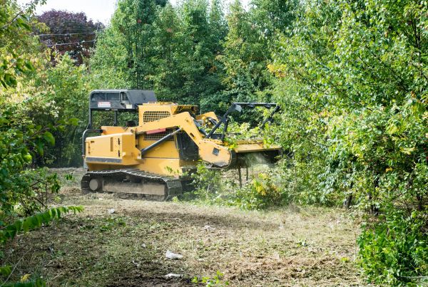 Pathway Clearing in Bozeman