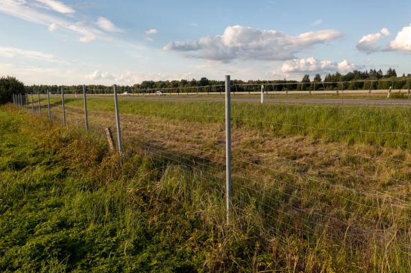 Property Line Clearing in Bozeman