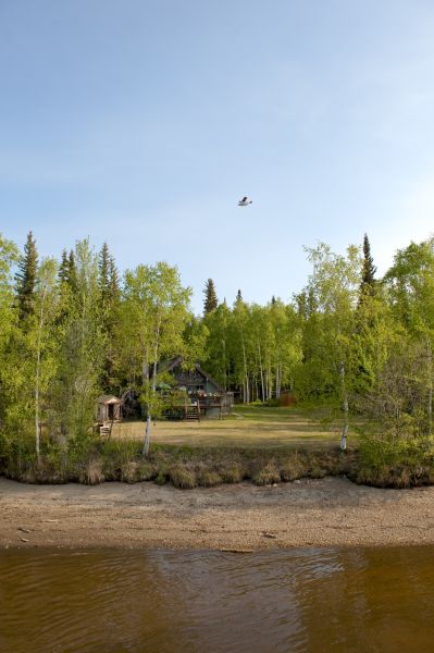 Waterfront Land Clearing in Bozeman