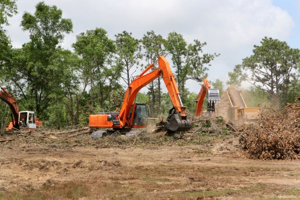 Commercial Lot Clearing in Bozeman